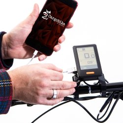 CARGOBIKE DELIGHT 2025