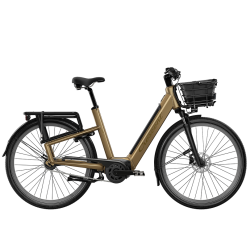 CRESCENT ELSTON 2025